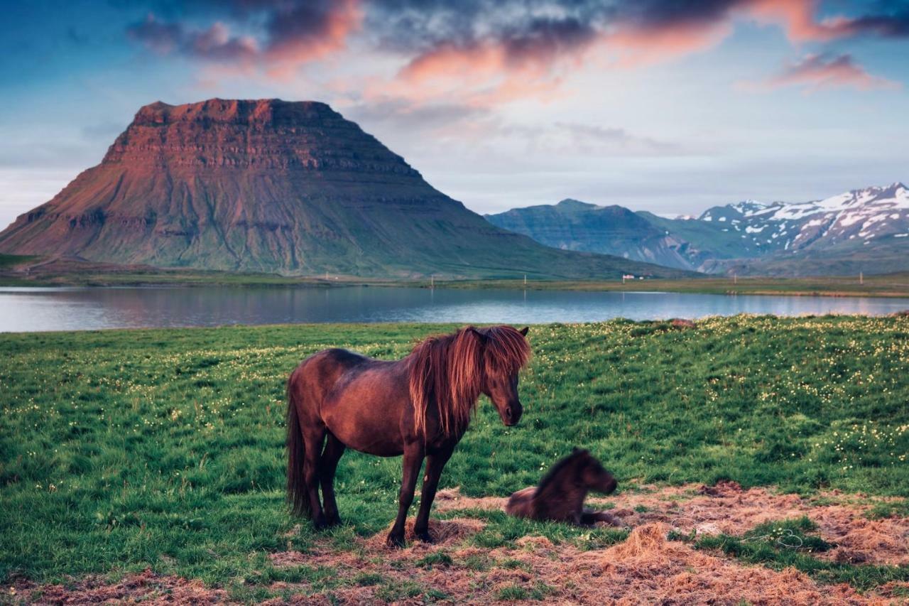 Experience Beautiful Iceland Ólafsvík Kültér fotó