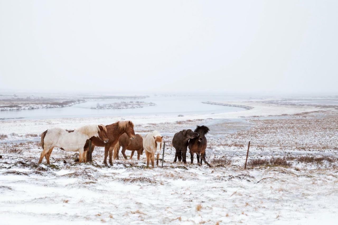 Experience Beautiful Iceland Ólafsvík Kültér fotó