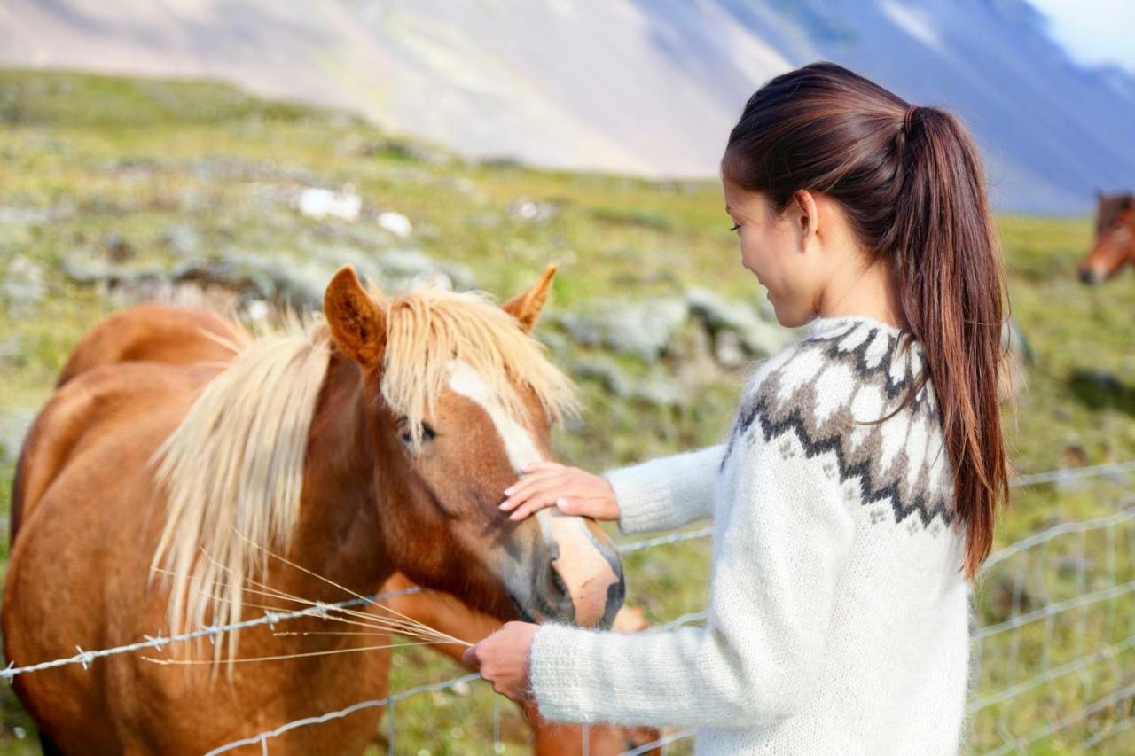 Experience Beautiful Iceland Ólafsvík Kültér fotó